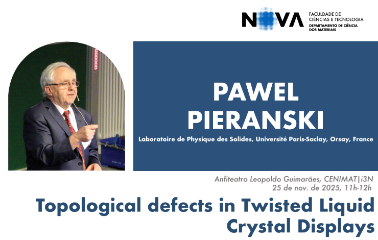 Seminário | Topological defects in Twisted Liquid Crystal Displays | Professor P